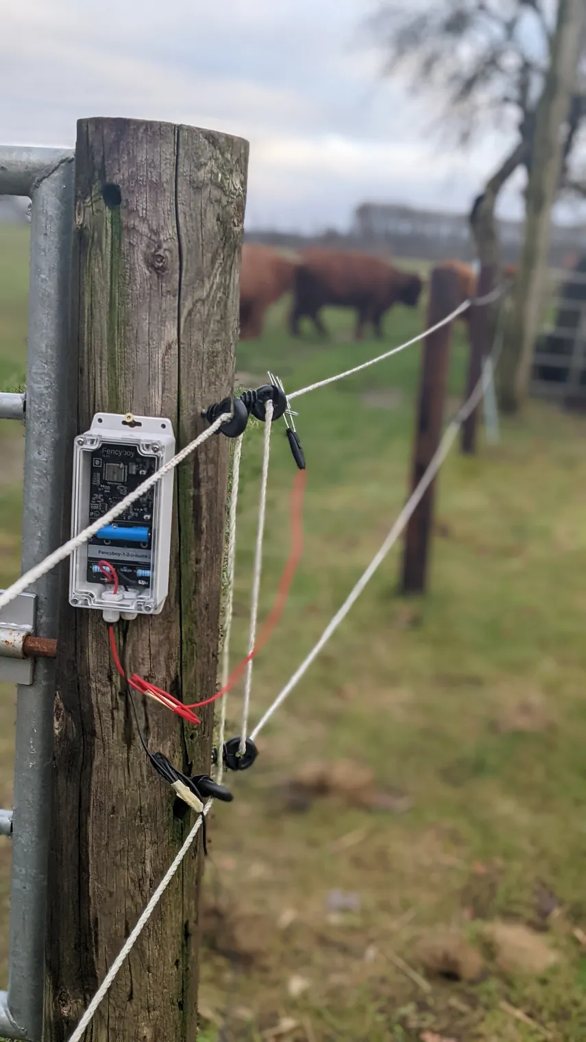Fencyboy mounted on fence post