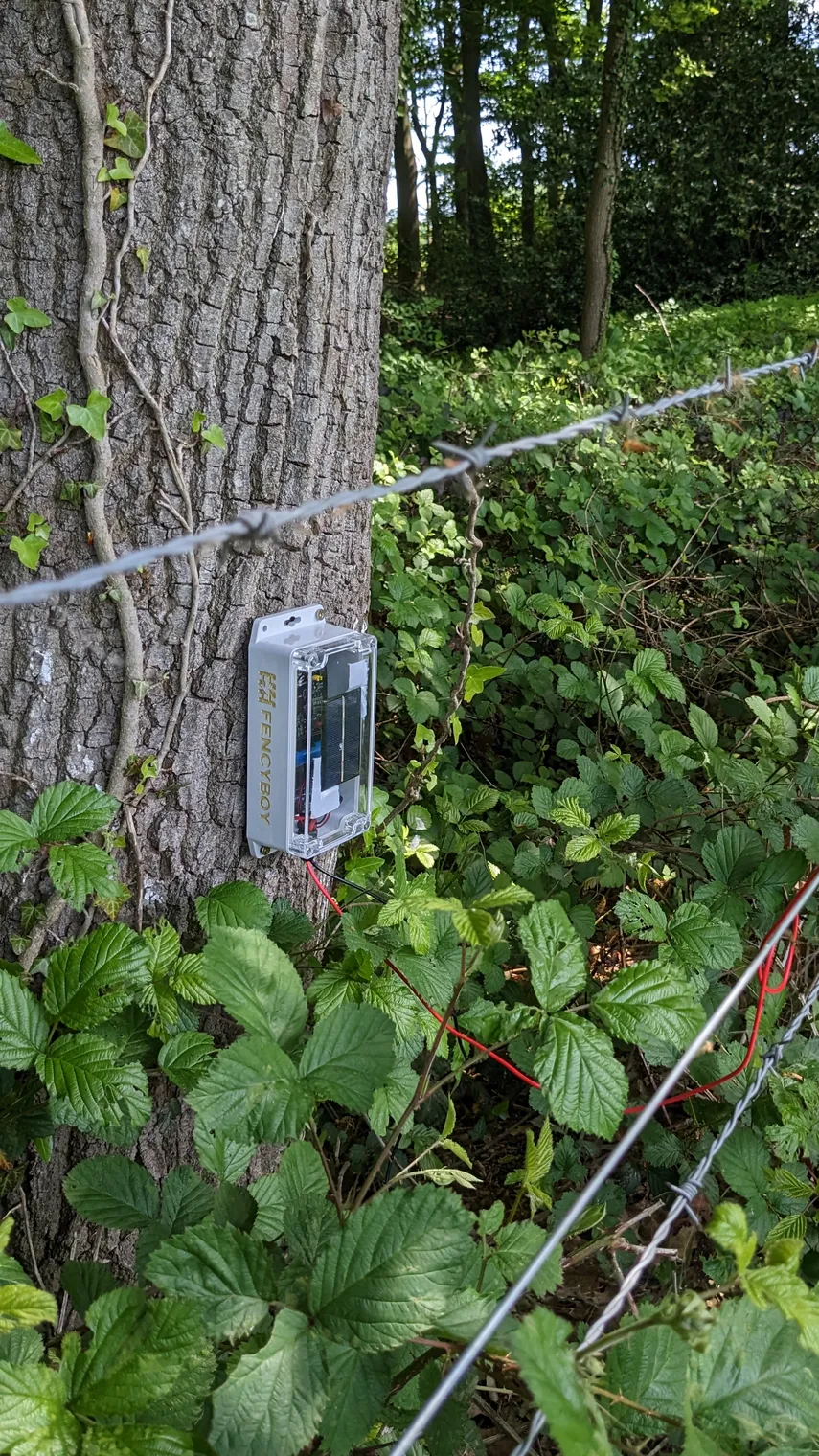 Fencyboy with solar panel mounted on a tree